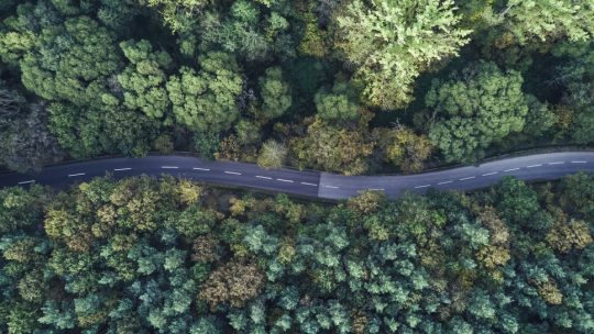 Leitura Espiritual - Os Segredos da Boa Comunicação