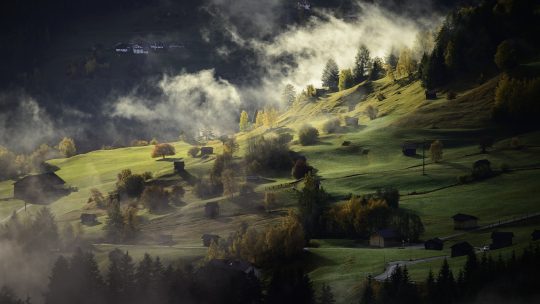 hills, trees, fog