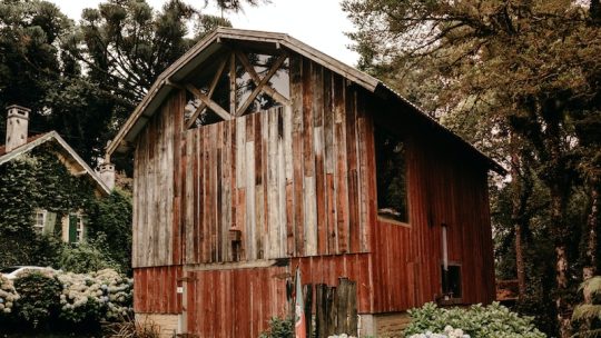 brown wooden house near green trees during daytime