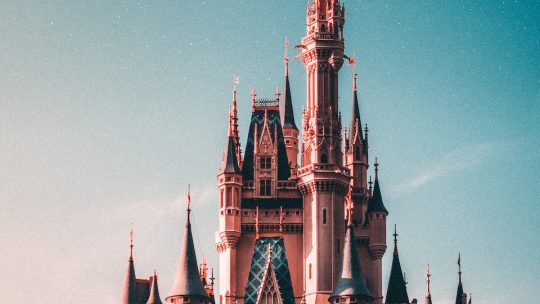 Walt Disney Castle