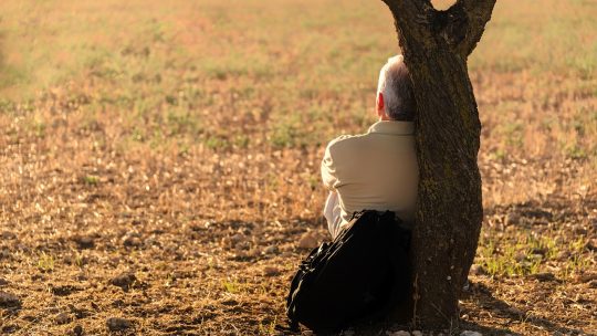 man, solitude, tree