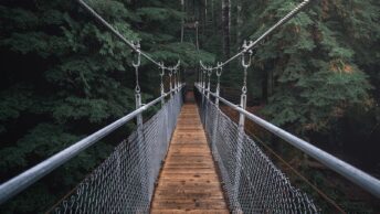First Perspective Photography of Hanging Bridge
