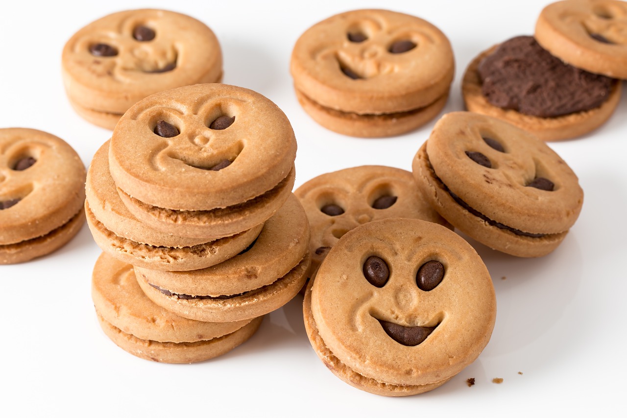 cookie, biscuit, round