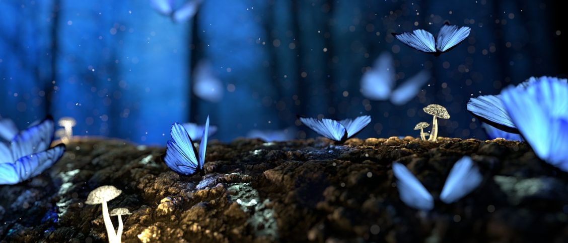 fantasy, butterflies, mushrooms