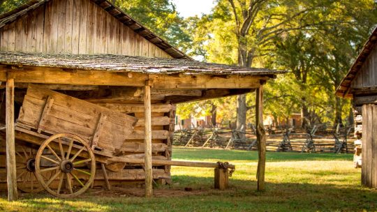 Wooden Structure in Park