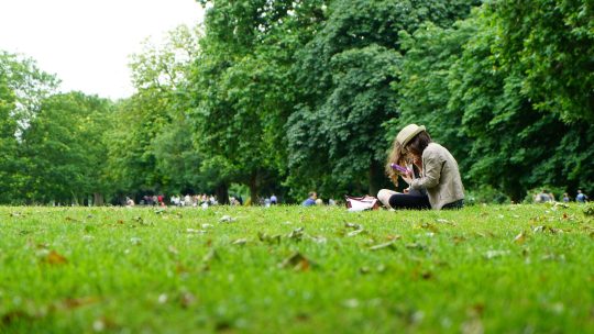 People Sitting On Green Grass Field