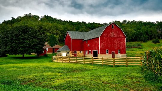 Red Barn