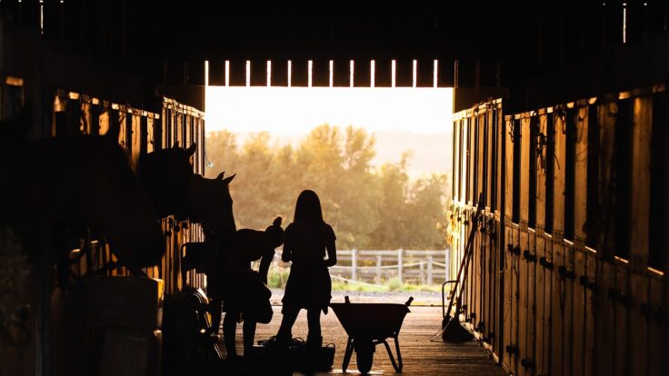 stable, girl, horses