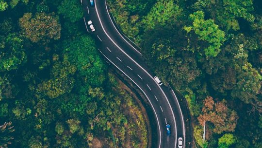 Aerial View of Road in the Middle of Trees