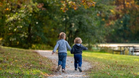 boys, children, path