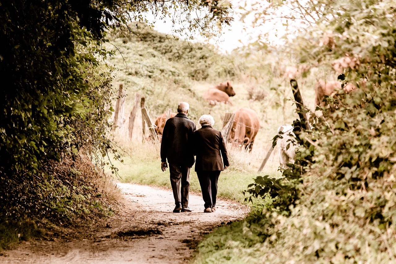 elderly, couple, walking