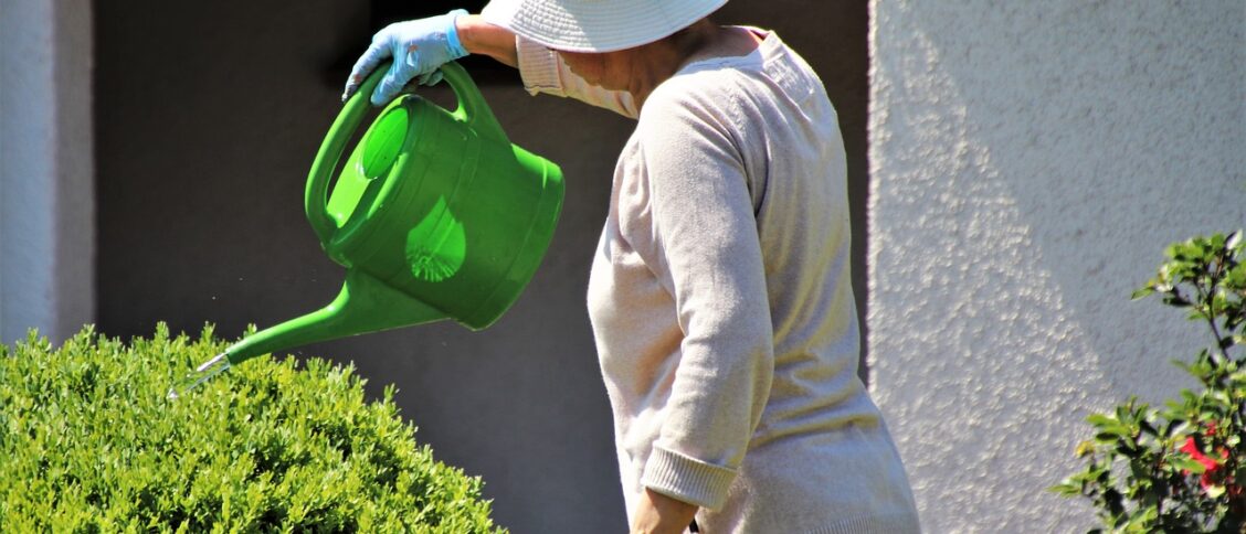 hat, watering can, pensioner