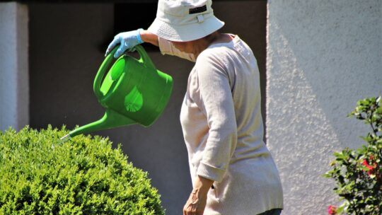 hat, watering can, pensioner