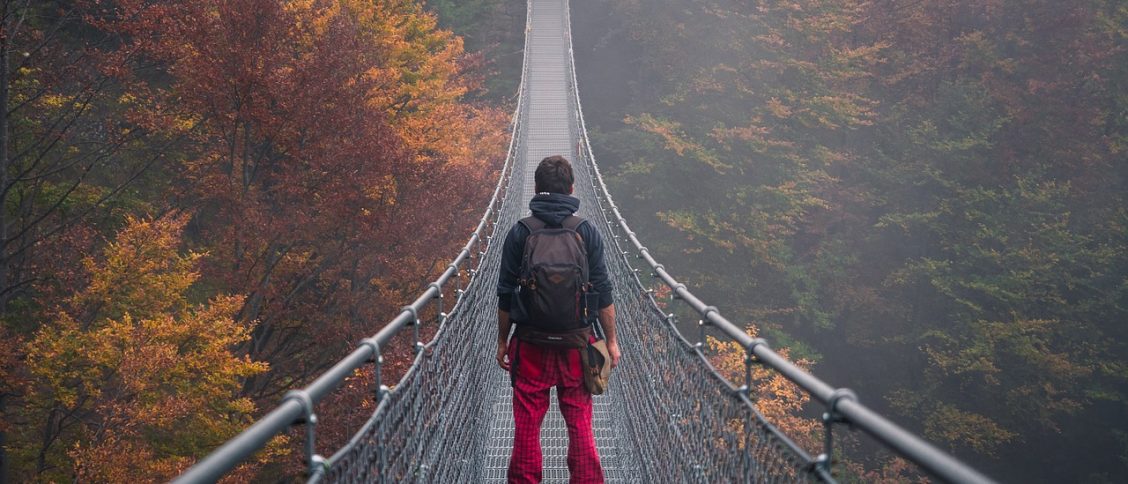 bridge, autumn, nature