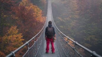 bridge, autumn, nature