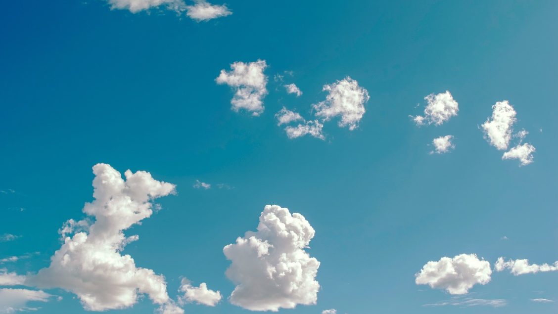 Céu Azul: A Jornada dos Animais pela Esperança