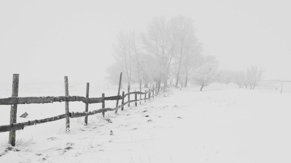 Reflexões à Beira da Neve Quente