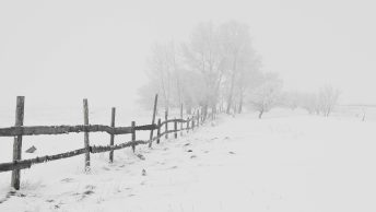 Reflexões à Beira da Neve Quente