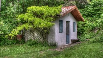 A Casinha na Floresta e a Luz da Esperança