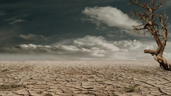 O Deserto Verde da Esperança e da Renovação